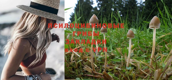 PSILOCYBIN Бронницы