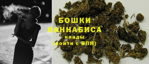 PSILOCYBIN Бронницы