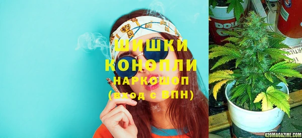 PSILOCYBIN Бронницы