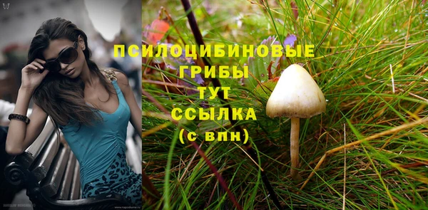 PSILOCYBIN Бронницы