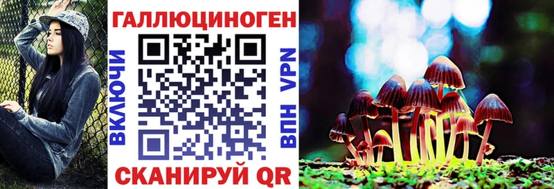 KRAKEN ТОР  где купить   Волжский  Галлюциногенные грибы Psilocybine cubensis 